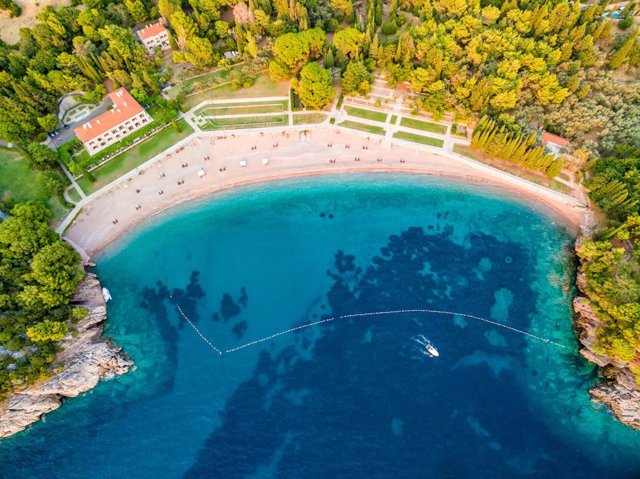 newest-news-post-image